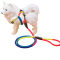 Colorful Round Dog Leash for Pet Supplies