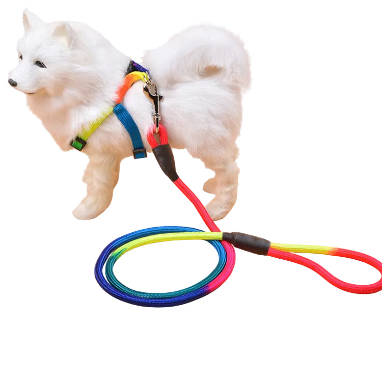 Colorful Round Dog Leash for Pet Supplies