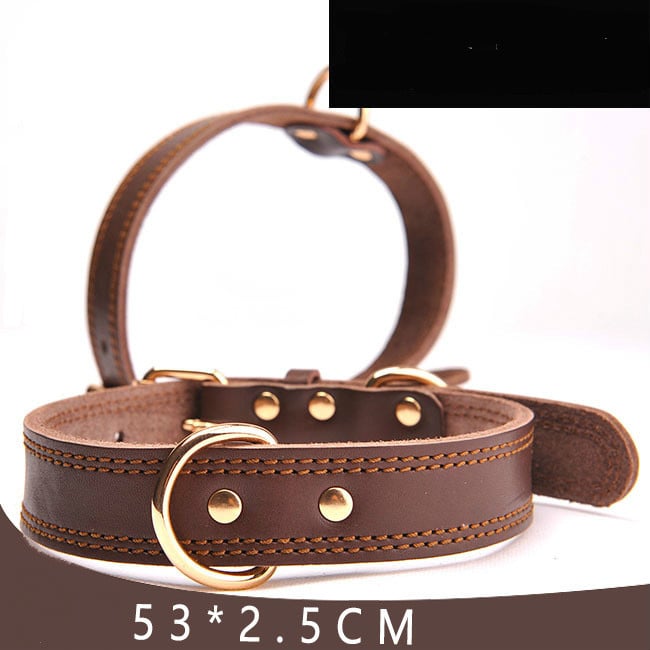 Leather Dog Collar for Pet