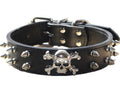 Haoyueer Spiked Leather Dog Collar